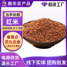 ���׼t���s�Z����b���������r���Ԯa��֬�����t���׼t�������l