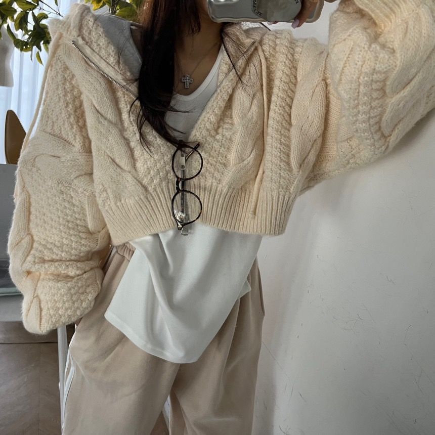 Hooded Hemp Pattern Knitted Cardigan Jacket for Women Korean Retro Loose Lazy Style Zipper Short Bat Sleeve Sweater