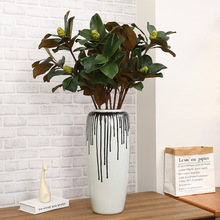 �¿��̖����Gֲ  ��֧���뻨�~ ���m�~��֧ �҃����Ըߙn�ָз�