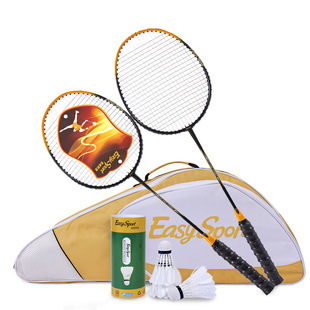 Yiwesiden Luxury Badminton Set Aes-Ym908