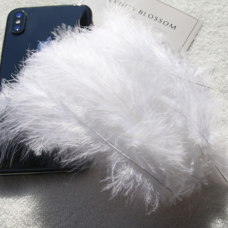 Plumas Decorativas Artesanales para Bodas y Manualidades DIY