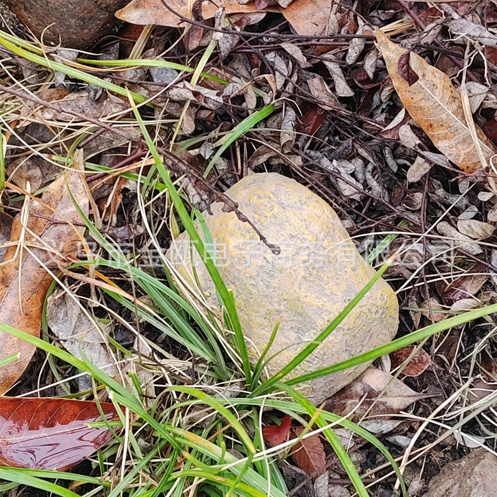 跨境仿真石头藏钱钥匙盒 树脂石头造型隐藏私房钱收纳盒存钱存储