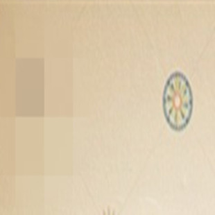 ���Ӳ���Ů�����ṫ��ë�q���С��������żץ�C����