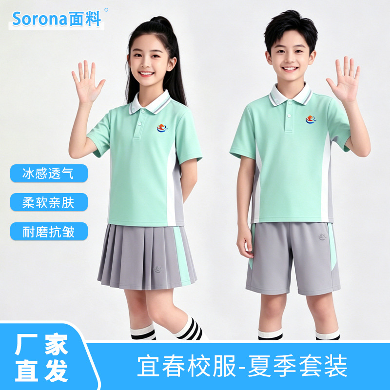 Uniforms for Primary and Secondary School Students in Yichun City, Jiangxi Province, Kindergarten Class Uniforms, Summer Short-Sleeved Children's Polo Shirts