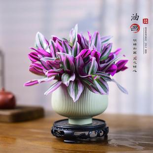 Oil Painting Wedding Hanging Orchid Potted Plant Easy to Maintain Colorful Green Plant Indoor Balcony Courtyard Purple Orchid Flower Bonsai Ornament