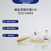 }ѿULY6 CICC10443 øø ̌W F؛