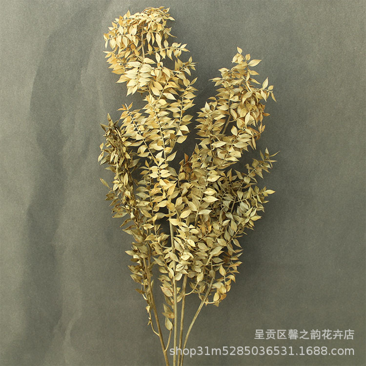 [약 55g] 오리지널 컬러