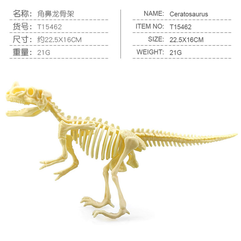 Transfronterizos de venta caliente simulación sólida modelo de cráneo de dinosaurio estático T. rex Velociraptor esqueleto arqueológico juguetes para niños