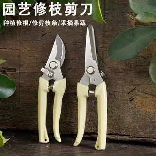 不锈钢树枝剪修枝摘水果花木剪户外园林果树花枝嫁接园艺剪刀工具