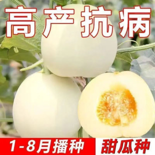 �����ɳ����ϷN������������Ѱ�ɳ����Ͽ��ļ��߮a�����ˮ��