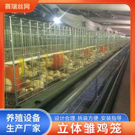 养殖场育鸡小鸡笼鸡舍立式四层小鸡育雏鸡笼幼鸡养鸡笼养殖设备