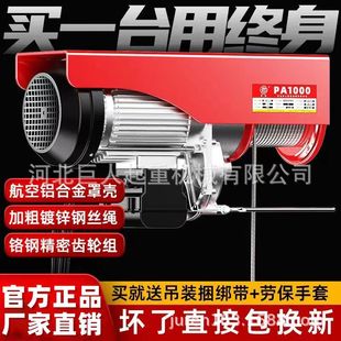Mini Electric Hoist 220V Household Decoration Small Crane Wire Rope Electric Hoist Lifting Hoist Hoist