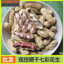 粉皮湿花生5斤装云南特产红皮农家自种现挖带壳可甩干带泥湿花生