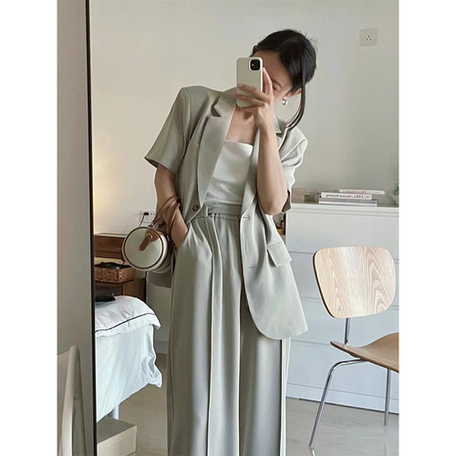 Women's Summer Thin Short Sleeve Suit Set 2025 New Casual Elegant High-End Goddess Style Commuter Two-Piece Set