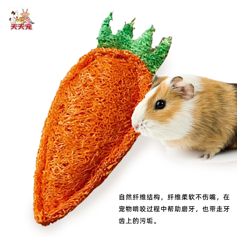 絲瓜絡胡蘿蔔咀嚼耐咬寵物玩具倉鼠豚鼠龍貓兔子磨牙通用廠家批發