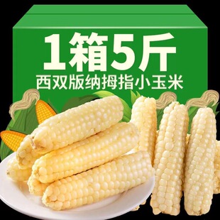 5��������p��{ĴָС������Ŵ��ָ����ܛŴ���r���l