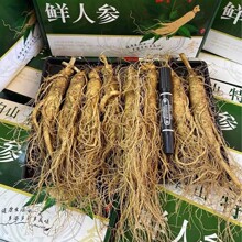 �L��ɽ���r�˅��Y���b �B������ ���r�˅����l �r�˅� ���r�˅�