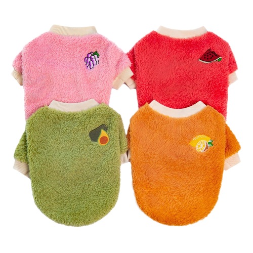 Amazon Autumn/Winter Pet Dog Thick Warm Two-Foot Fruit Coral Fleece Hoodie for Small and Medium Dogs