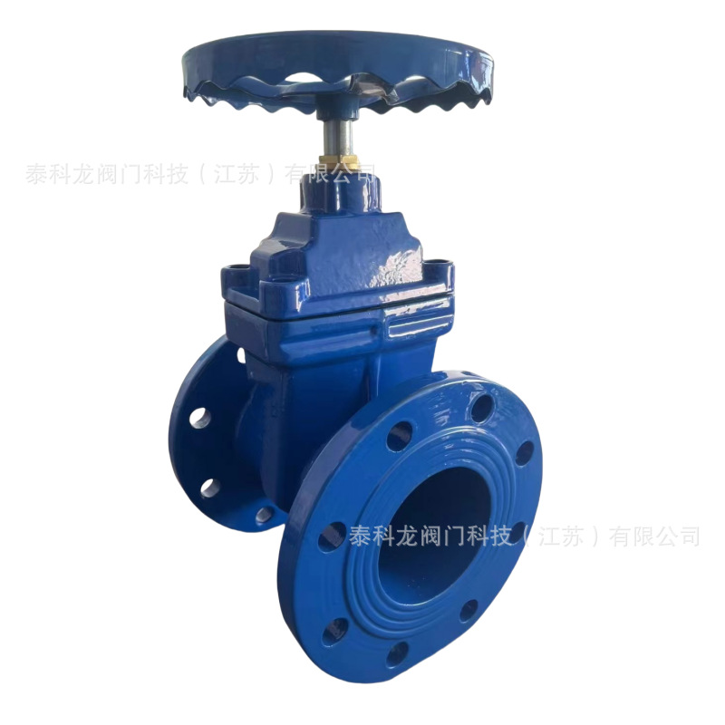GGG50闸阀 2