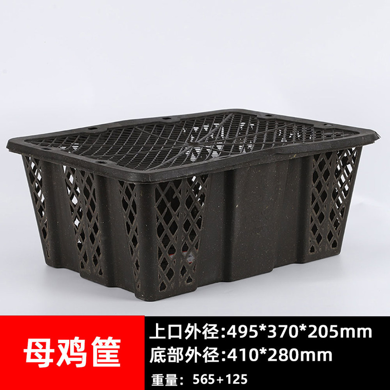 加厚塑料框带盖鸽子兔子宠物活禽运输筐快递打包周转箱筐厂家批发|undefined