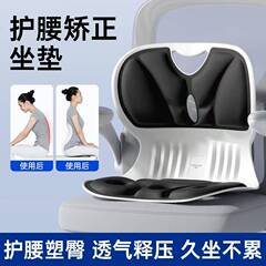护腰坐姿椅腰托居家办公室工位人体工学久坐神器腰部支撑背靠垫