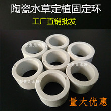 �մɭhˮ�ݶ�ֲ���̶��h��ˮ�ݷNֲ�����N�{���~��ˮ���{�ޭh���b