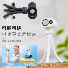 �¿��צ�~�댧�w���С�L�Ȅ����ֳ֜u݆��yʽ��������С�L��