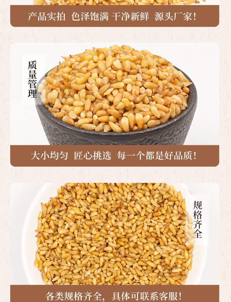 Wild Platycladus Seed Bai Zi Ren 500g Dried Herbal Tea Ingredient specifications