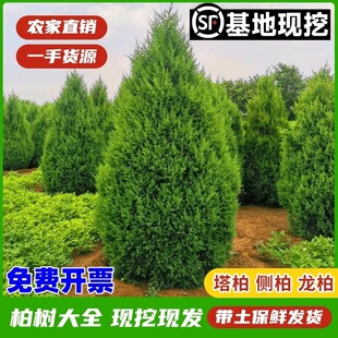 �ؘ���� ���� ����ɰ؂Ȱؘ���A���ɘ䌚����������G���ļ���