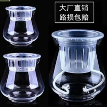 水培绿萝花瓶冬瓜型透明风信子铜钱草敞口花瓶水培植物玻璃瓶花盆