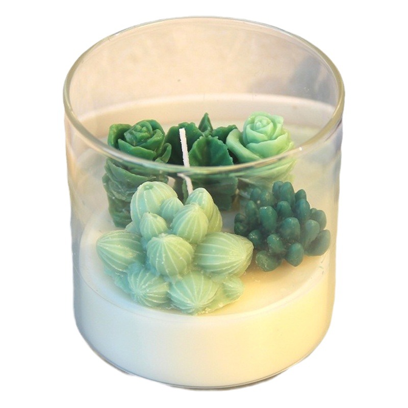 Transfronteriza ins suculenta planta en maceta cactus aromaterapia vela cera de soja decoración de vidrio para novias y amigos