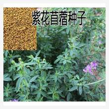 ���ݷN���ϻ���ޣ�N�Ӷ������ļ��ϱ��������ѾG����Դ�G�ʲ�ľϬ