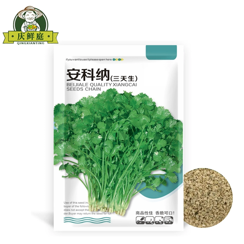 Термостойкие семена четырехсезонного малолистового кориандра, семена кориандра в деревенском стиле, семена крупнолистовых овощей в горшках для балкона