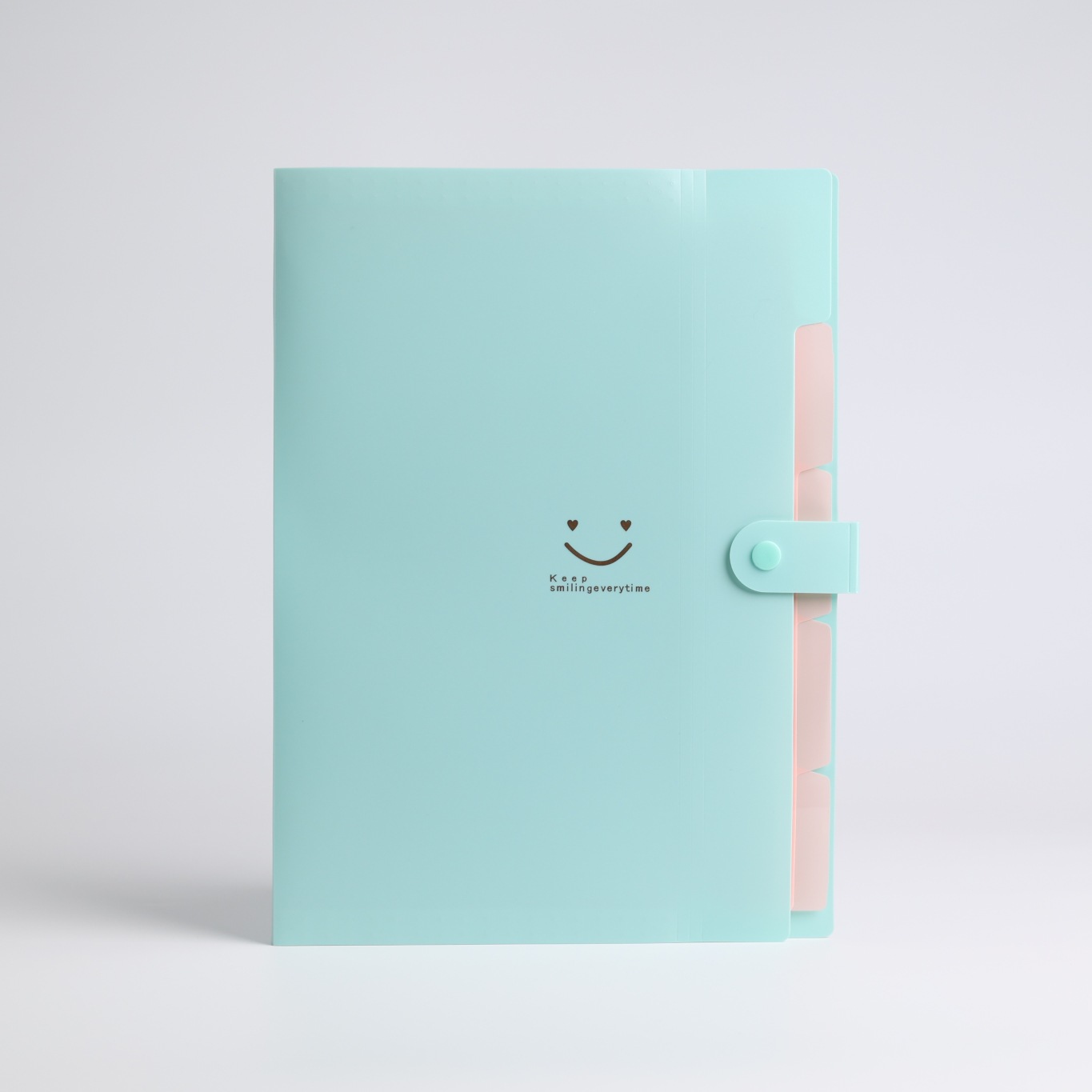 Carpeta plástica personalizada bolsa clasificadora de documentos tipo acordeón