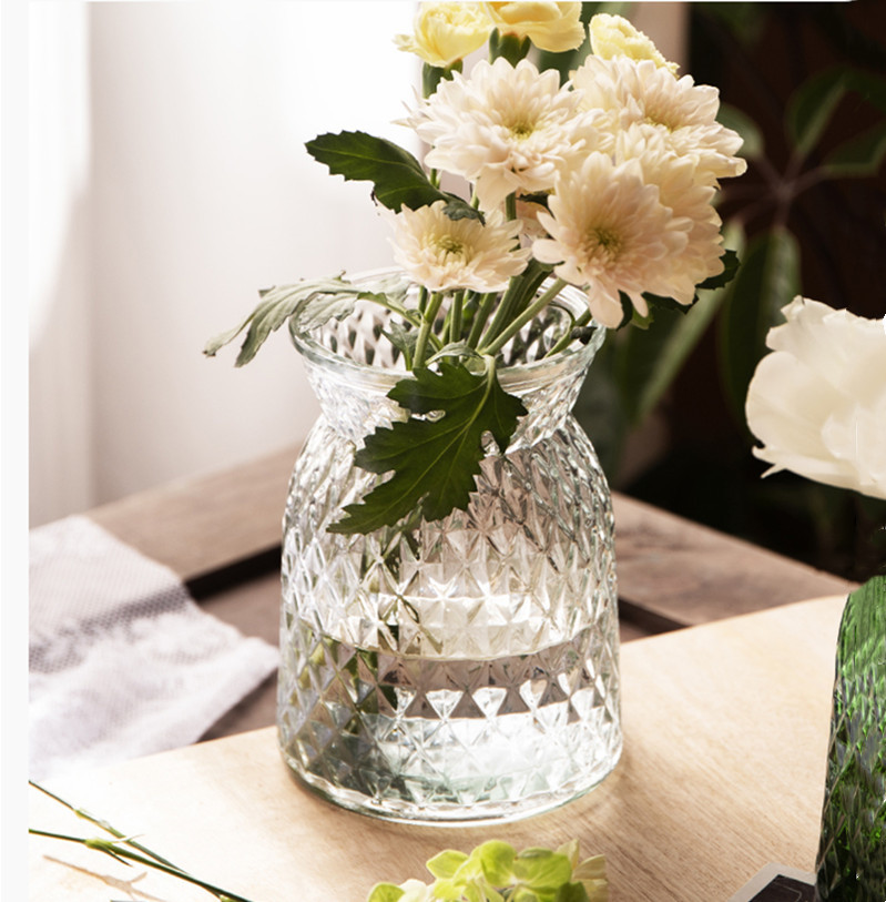 European Colored Transparent Glass Vases Home Decoration Flower Utensils Ornaments