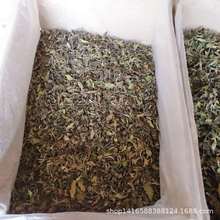 �S�Ҽӹ�������ϰײ� 2022�겼��ɽɢ�b���~�rˬ�ʴ��� ��ɽ�ײ�