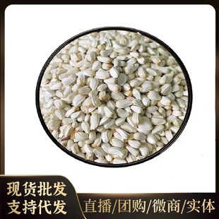 ������؛�t���Ӽt�������L�W�^�B�Z�Bʳ�׹��ӂ}��Z���L�Bʳ����