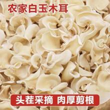 白玉木耳木耳新货东北级长白山产白玉干货小碗干净凉拌无根