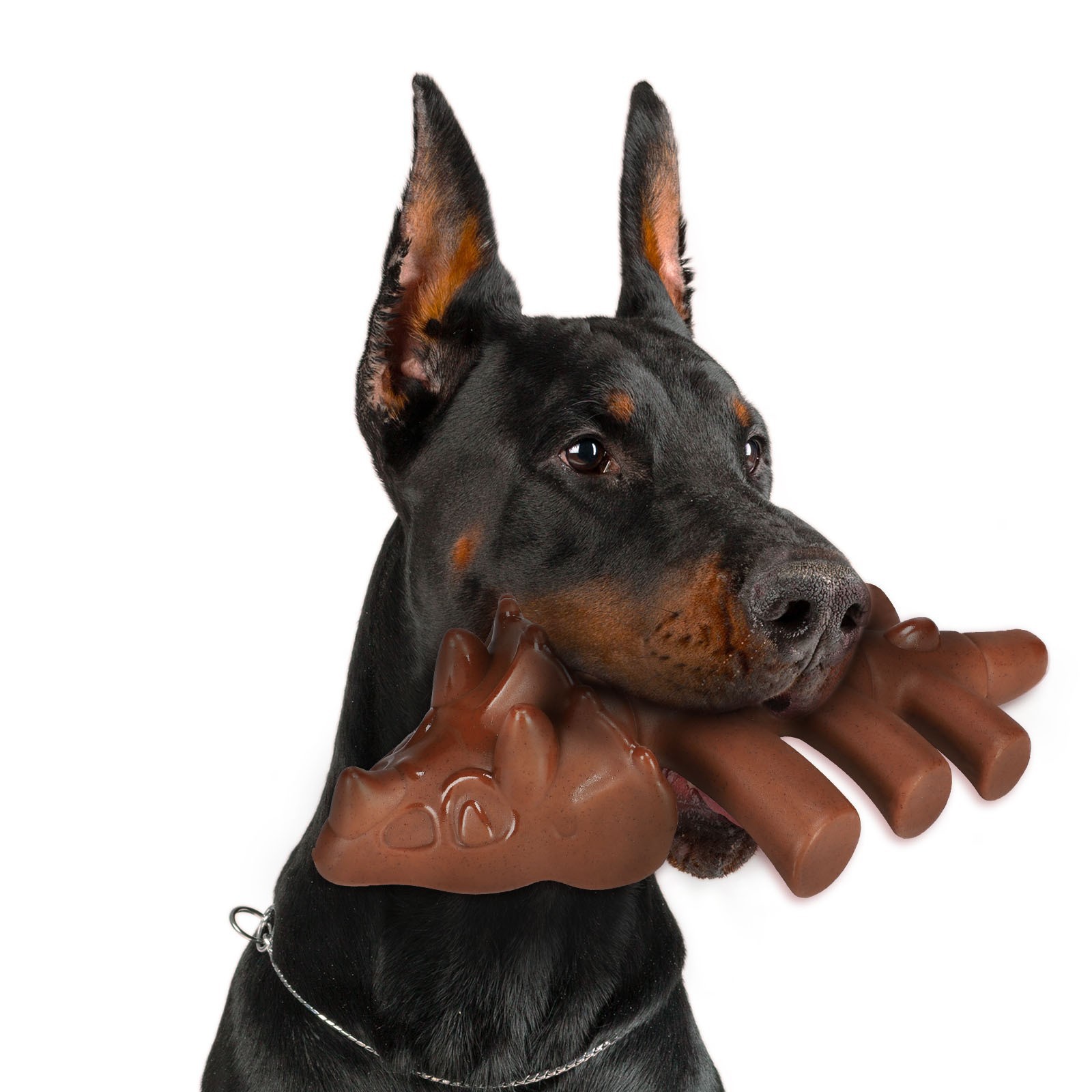 단색 트리케라톱스