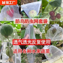 水果套袋果实网袋番茄葡萄无花果草莓防虫防鸟保护袋透气网套小型
