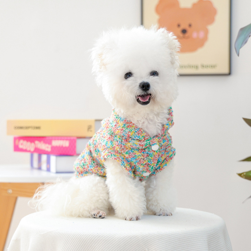 2025秋冬新款宠物小型犬幼犬快乐狗狗猫咪服饰彩色糖豆帽衫|undefined