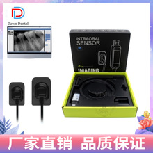 ����X��� ������ ��Ƭ����RVG��ǻ���ֳ��� ��Ʒ�� ���С��