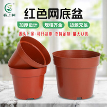 �tɫ�W�����������绨���m������������ԾW�׿׵���͸�⻨��