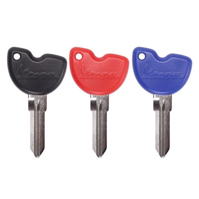 Motorcycle Key 250 300 key embryo