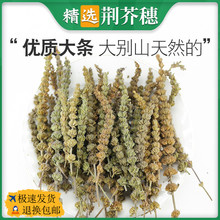 �G������ș���G��B�G������G�����G���Ұ���G����̿�G�����