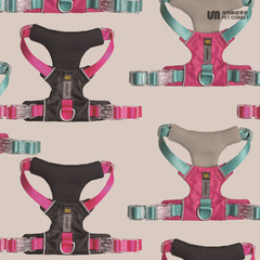 UNMIXED Urban Explorer Gradient Waterproof Cat and Dog Chain Outdoor Dog Traction Teddy Corgi Dog Leash UM