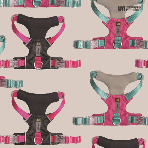 UNMIXED Urban Explorer Gradient Waterproof Cat and Dog Chain Outdoor Dog Traction Teddy Corgi Dog Leash UM