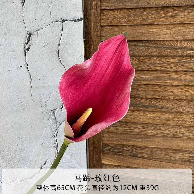 로즈 레드