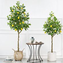 北欧大型仿真柠檬树橘子树室内装饰绿植盆景假花家居摆件落地假树