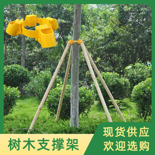 �G�����̴��̶����_�ܽ��� �������֧�ΗU�ױ� ��ľ֧�μ�